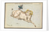 Aries and Musca borealis by Sidney Hall