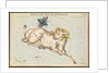 Aries and Musca borealis by Sidney Hall