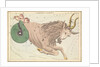 Capricornus by Sidney Hall