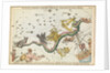 Nocyua, Corvus, Crater, Sextans Uraniae, Hydra, Felis, Lupus, Centaurus, Antlia Pneumatica, Argo Navis and Pyxis Nautica by Unknown