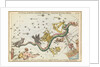 Nocyua, Corvus, Crater, Sextans Uraniae, Hydra, Felis, Lupus, Centaurus, Antlia Pneumatica, Argo Navis and Pyxis Nautica by Unknown