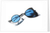 Snow goggles with blue lenses: Relic of Sir John Franklins last expedition 1845-1848 by Unknown