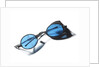 Snow goggles with blue lenses: Relic of Sir John Franklins last expedition 1845-1848 by Unknown