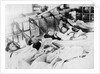 Photographic print of the crew of 'Vivid' (1891) in hammocks by unknown
