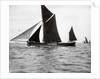 The spritsail barge 'Majestic' (1894) by F. C. Gould & Son