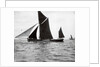 The spritsail barge 'Majestic' (1894) by F. C. Gould & Son