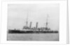Photograph of the ship 'Blenheim' by Unknown