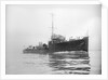 Torpedo boat destroyer HMS 'Doon' (1904) by Unknown