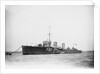 Destroyer HMS 'Truculent' (1917) by unknown