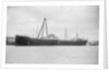 'Oleander' (Br, 1922) by unknown