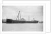 'Oleander' (Br, 1922) by unknown