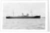 'Prestol' (Br, 1917) by unknown