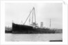 'Appleleaf' (Br, 1916) by unknown