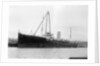'Appleleaf' (Br, 1916) by unknown