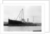 'Appleleaf' (Br, 1916) by unknown