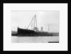 'Appleleaf' (Br, 1916) by unknown
