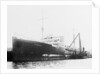 'Plumleaf' (Br, 1916) by Unknown