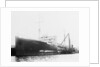 'Plumleaf' (Br, 1916) by Unknown