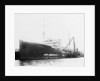 'Plumleaf' (Br, 1916) by Unknown