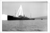 Photograph of 'War Hindoo' (1929), from Richard Perkins Collection by Richard Perkins