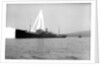 Photograph of 'War Hindoo' (1929), from Richard Perkins Collection by Richard Perkins