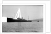 Photograph of 'War Hindoo' (1929), from Richard Perkins Collection by Richard Perkins
