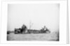 'Palmol' (Br, 1917) by unknown