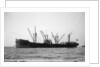 'Mercedes' (Br, 1901) by unknown