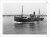 HMS 'Eddy' (1918) by Unknown