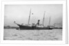 HMS 'Surprise' 1885 by Unknown
