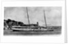 Photograph of 'Imogene'  circa 1914 by unknown