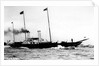 Royal yacht HMS 'Alberta' (GB, 1863) by unknown
