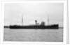 'Celerol' (Br, 1917) by unknown