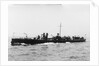 A port bow view of TB 81 (1885) by unknown