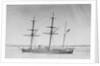 Wooden screw gun vessel HMS 'Woodlark' (1871) by unknown