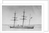 Wooden screw gun vessel HMS 'Woodlark' (1871) by unknown