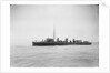 HMS 'Kangaroo' (1900) by unknown