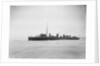 HMS 'Kangaroo' (1900) by unknown