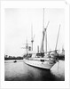 HMS 'Espiegle' (1900) by Unknown