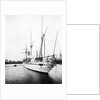 HMS 'Espiegle' (1900) by Unknown