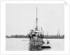 Torpedo gunboat HMS 'Plassey' (1890) anchored at Sheerness by unknown