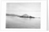 'Vanquisher' (Br, 1917) at anchor in Navarin Bay, Greece by unknown