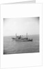 HMS 'Reclaim' (Br, 1948), under way, bound out from Portsmouth harbour, taken from Point Battery by unknown