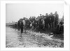 A catch coming ashore, somewhere on the south east coast, Tarry Adams Collection by unknown
