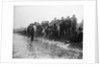 A catch coming ashore, somewhere on the south east coast, Tarry Adams Collection by unknown