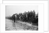 A catch coming ashore, somewhere on the south east coast, Tarry Adams Collection by unknown