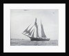A port side view, taken from well ahead of the beam, of the two masted topsail by Unknown