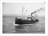 HMS 'Eddy' (1918) under way in Weymouth Bay by Unknown