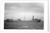 'Petroleum' (Br, 1902) by unknown