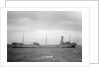 'Petroleum' (Br, 1902) by unknown